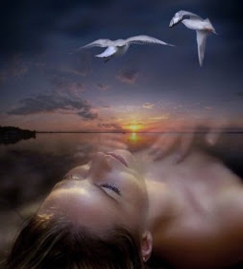 Sonno e Sogno - risolvere l'insonnia e i disturbi del sonno con Sounder Sleep System™