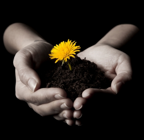 Cerchio Sciamanico per L'Equinozio di Primavera 2026