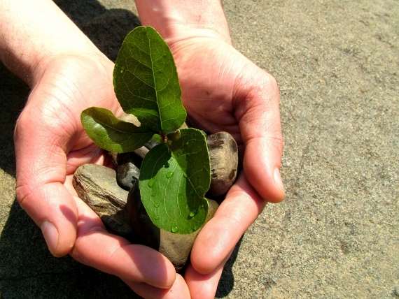 Counseling sciamanico e aspetti Etici