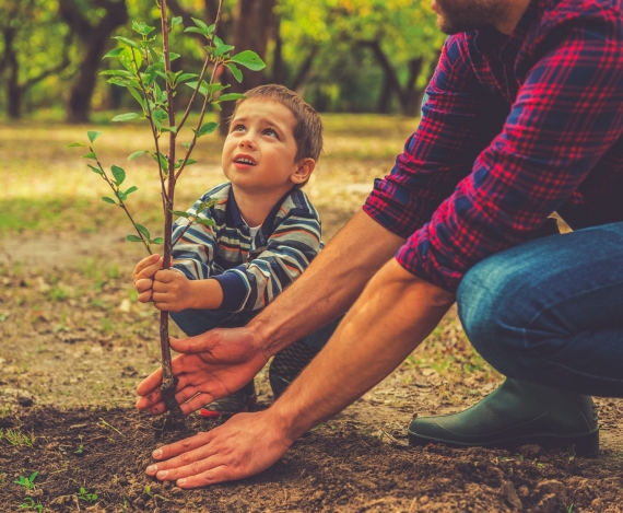 La Creatività Sciamanica - Sviluppare il proprio potenziale creativo