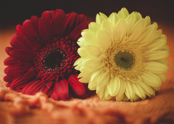 Maschile e Femminile – ritorno alla Sorgente