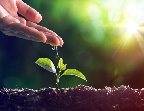 Corso di formazione biennale in Sciamanesimo Livello 2 - "La Natura e il Cosmo" - 4^ Edizione 2026-2028