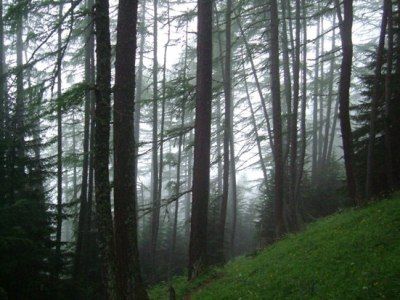 Psicometria - Esperienze - di Luciano Silva