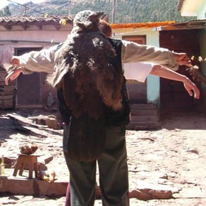 La Limpia del Condor - di Luciano Silva