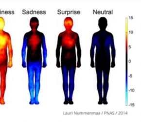 Come migliorare i risultati in tutte le terapie attraverso l'integrazione delle emozioni nel corpo