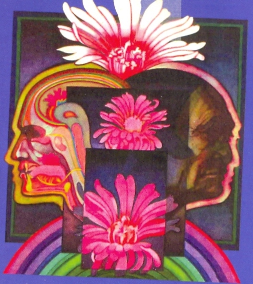 Drug Free Shamanism - di Jim PathFinder Ewing