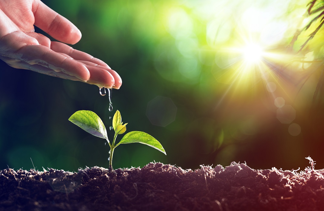 Corso di formazione avanzata in Sciamanesimo - La Natura e il Cosmo
